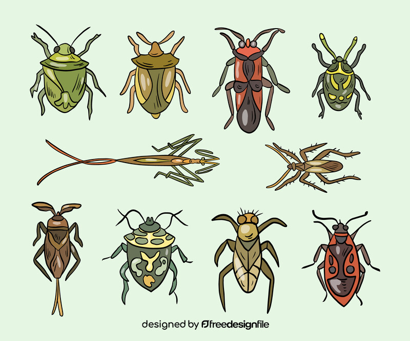 Stink bugs vector