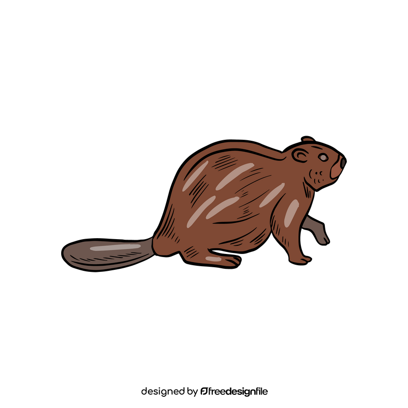 Beaver animal clipart
