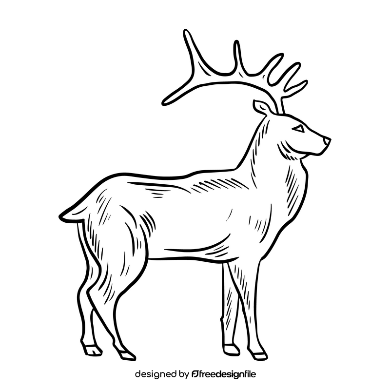 Deer cartoon black and white clipart