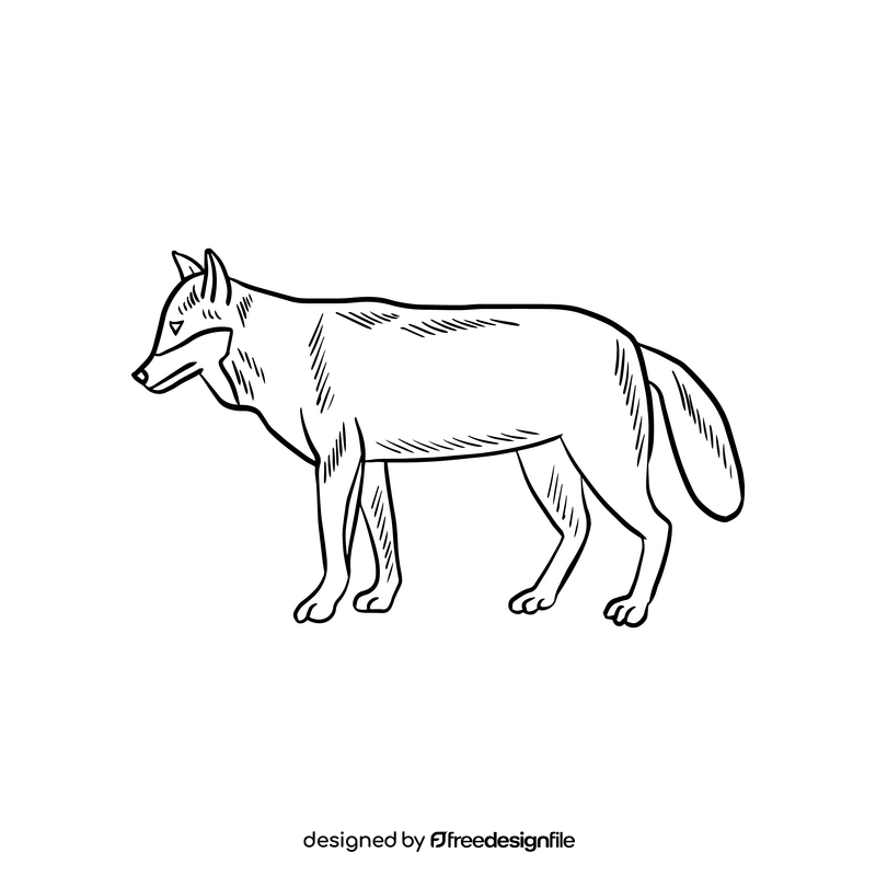 Wolf animal illustration black and white clipart