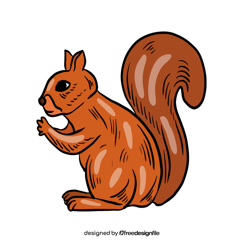 Squirrel animal drawing clipart