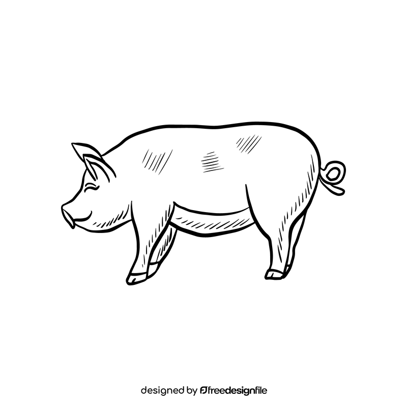 Pig animal black and white clipart