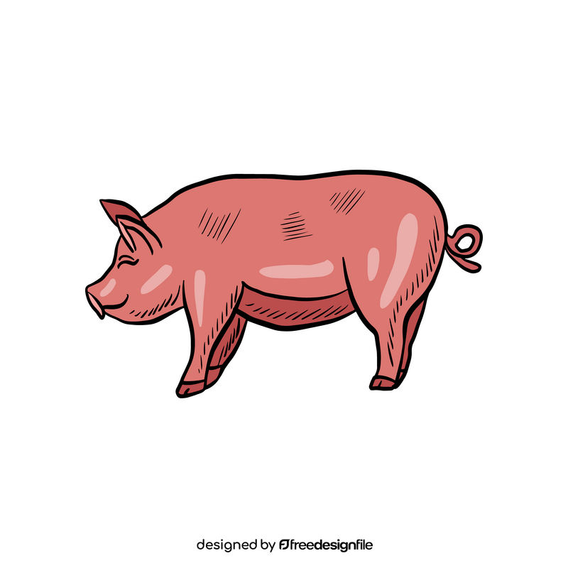 Pig animal clipart