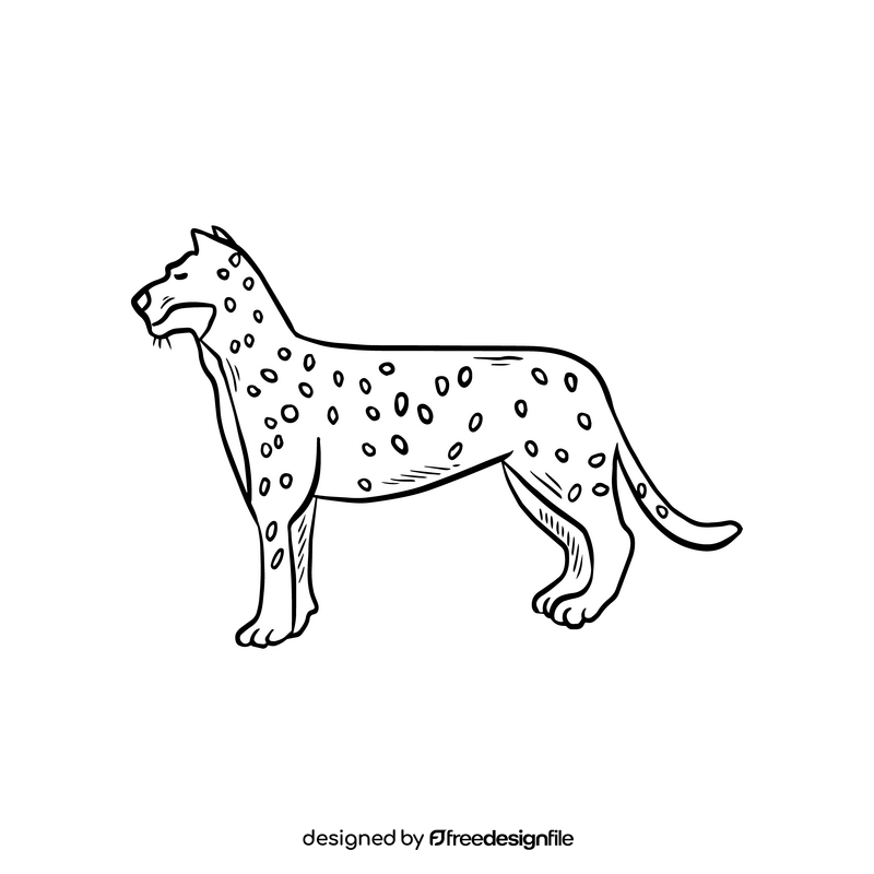 Leopard cartoon black and white clipart