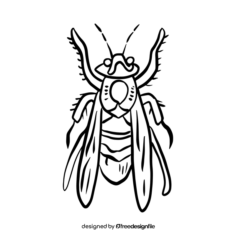 Wasp black and white clipart