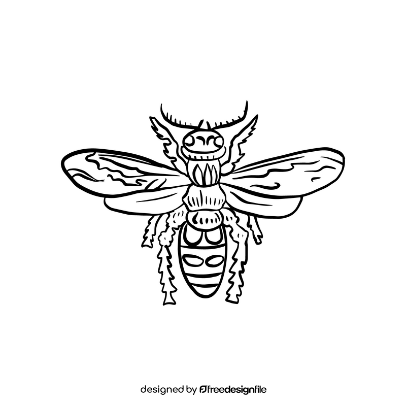 Wasp drawing black and white clipart