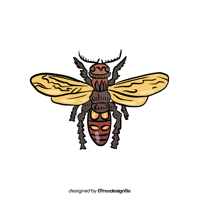 Wasp drawing clipart