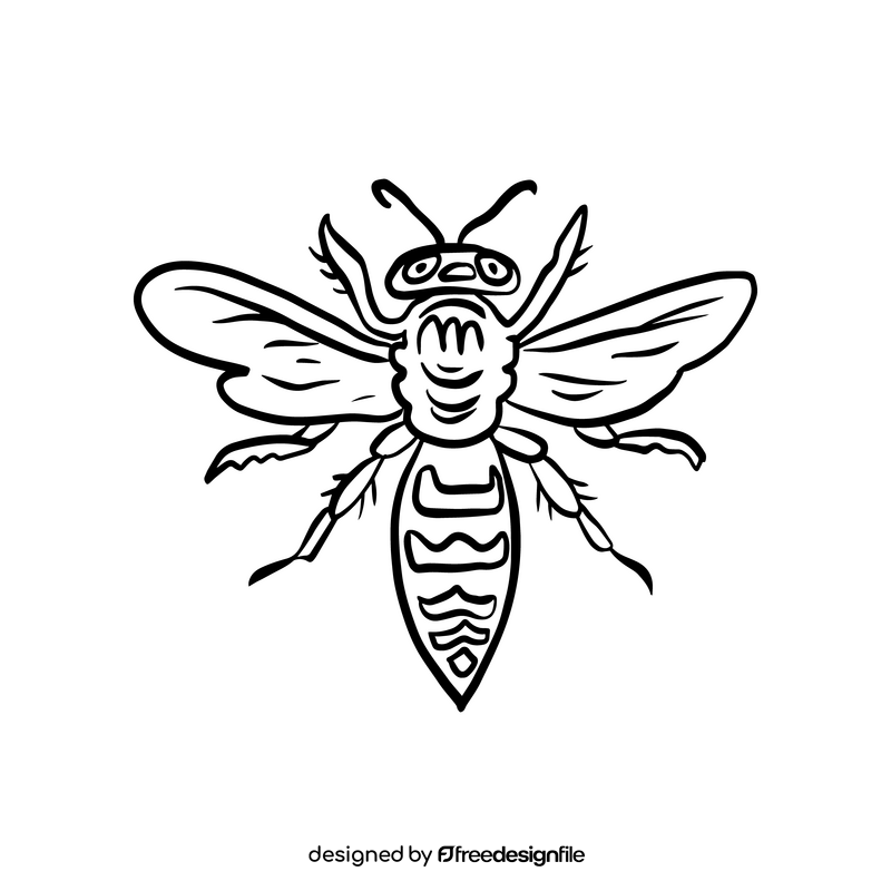 Wasp black and white clipart