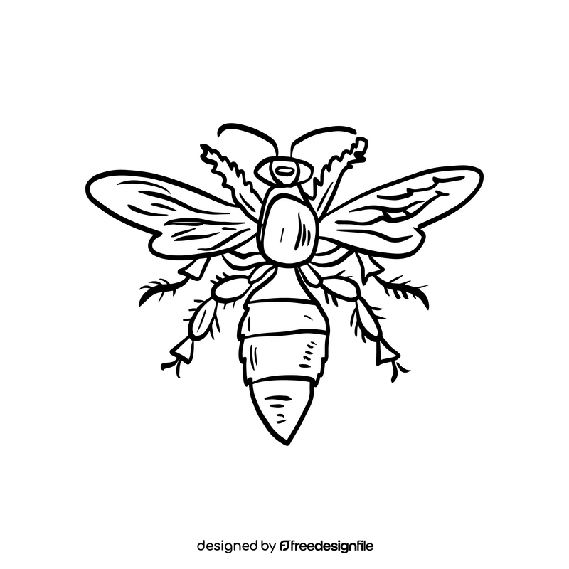 Wasp black and white clipart