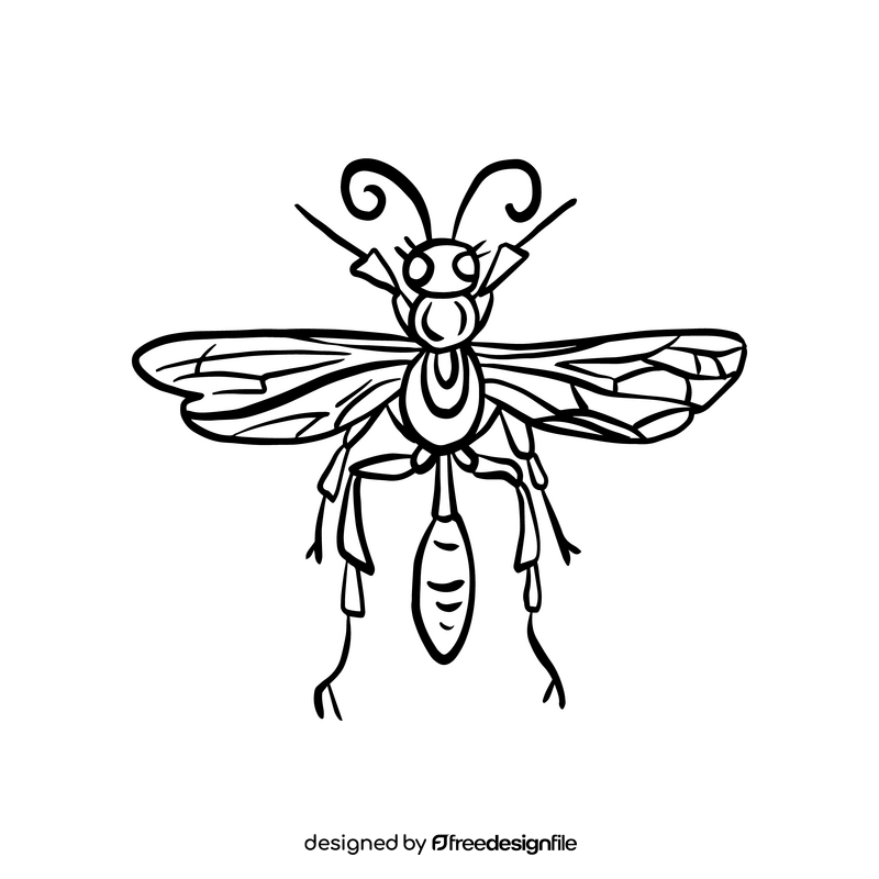 Wasp illustration black and white clipart