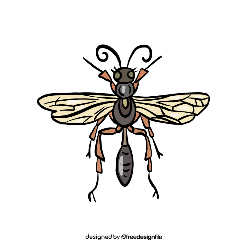 Wasp illustration clipart