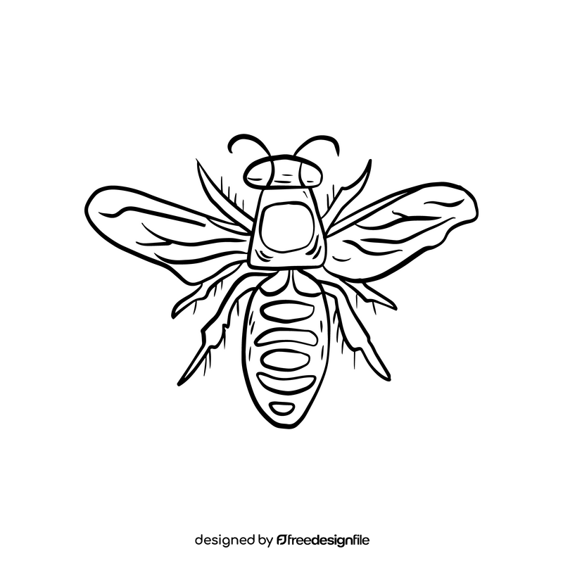 Wasp cartoon black and white clipart