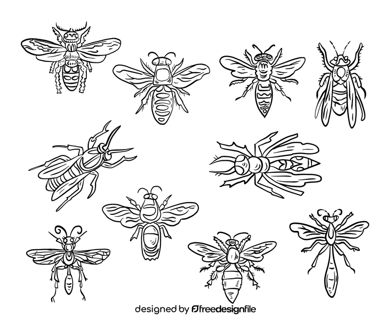 Wasps black and white vector