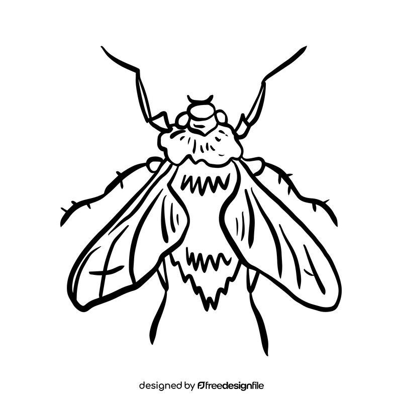 Insect black and white clipart