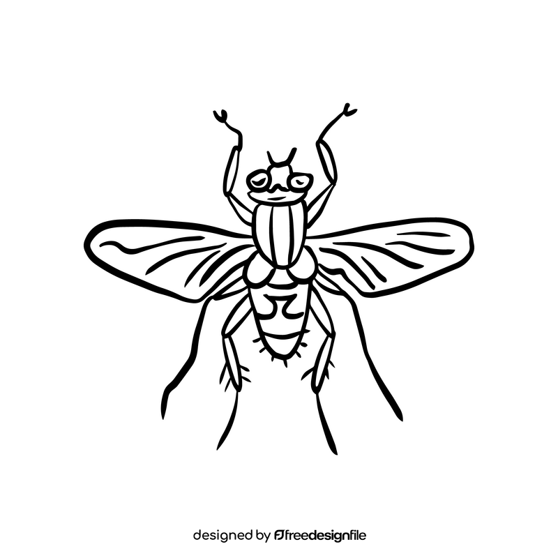 Insect black and white clipart