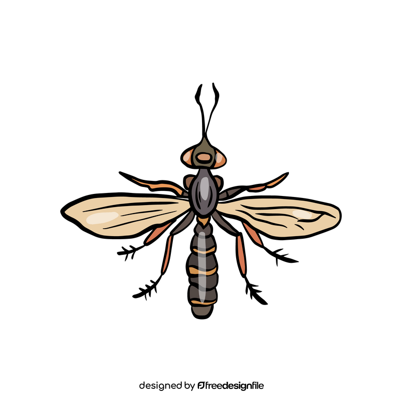 Insect clipart