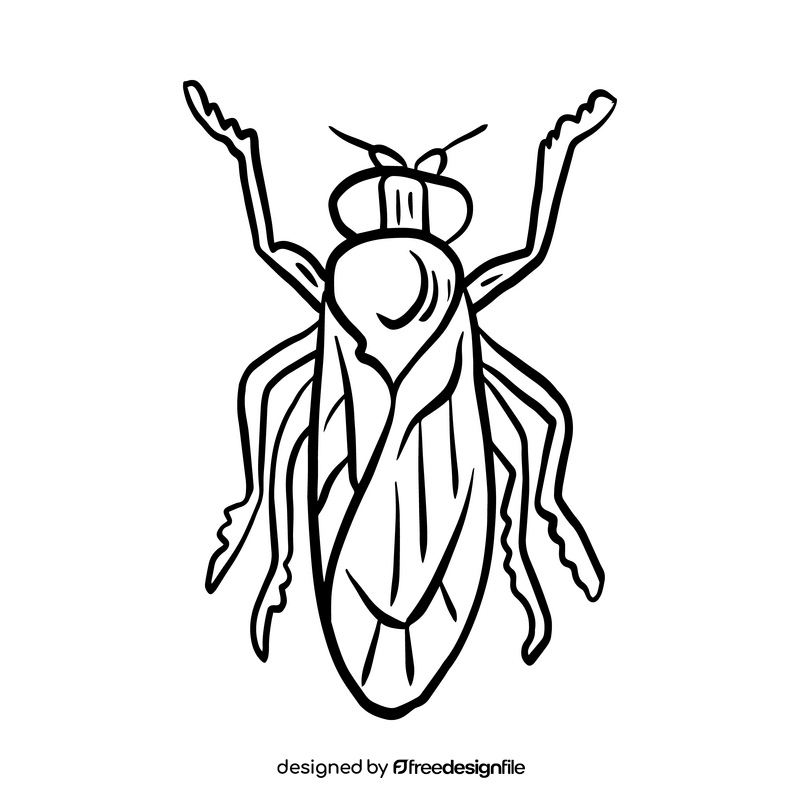 Fly insect drawing black and white clipart