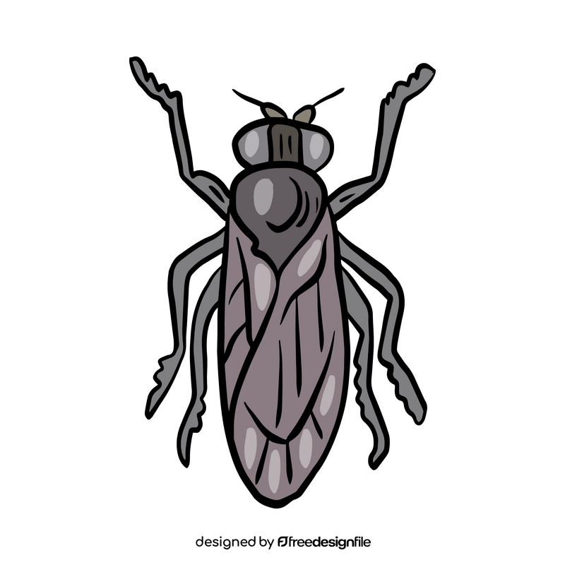Fly insect drawing clipart