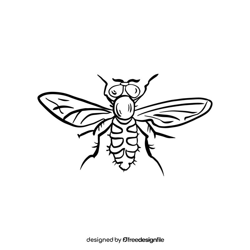 Fly insect cartoon black and white clipart