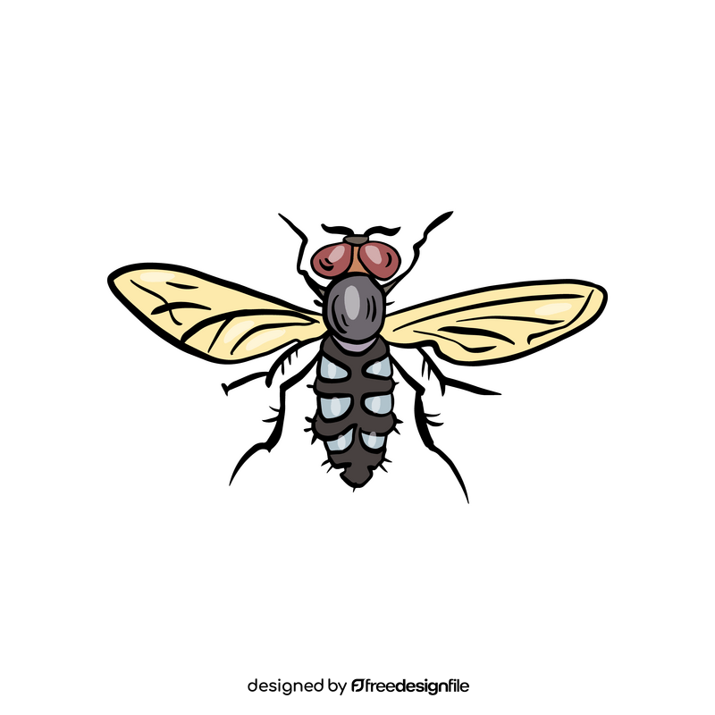 Fly insect cartoon clipart