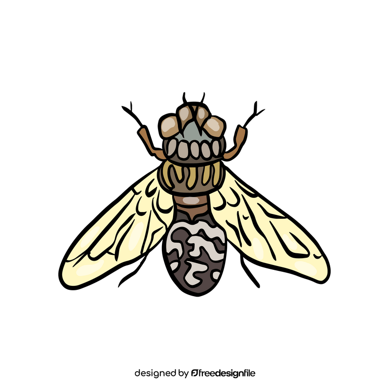 Free insect illustration clipart