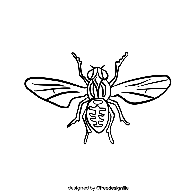 Cartoon insect black and white clipart