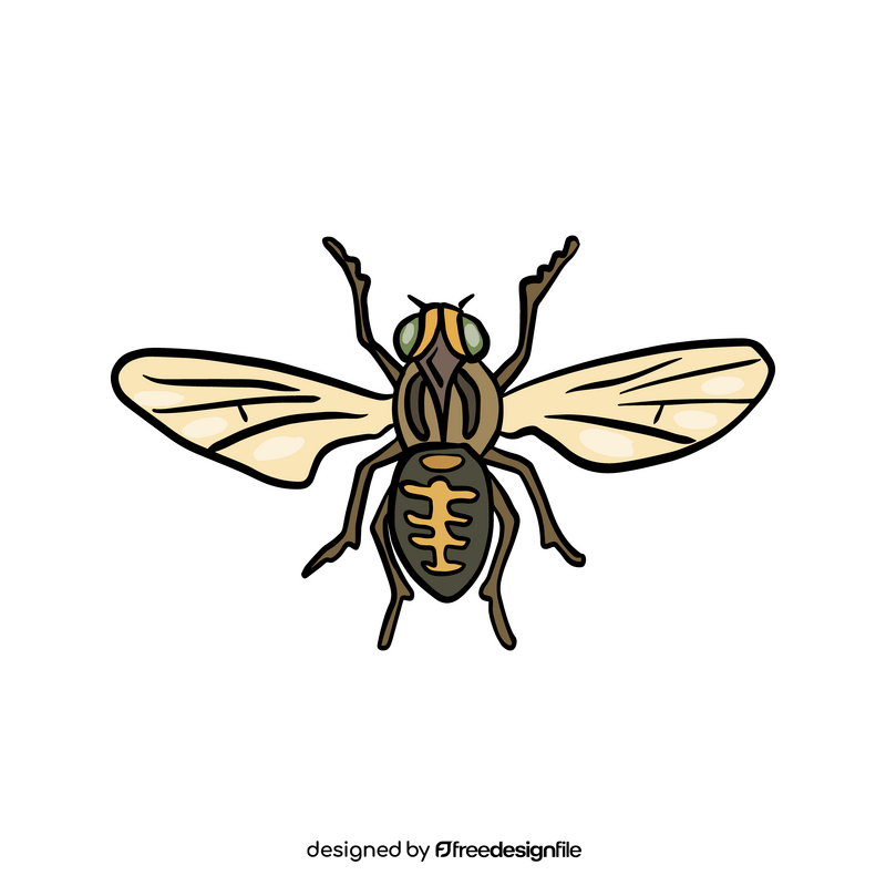 Cartoon insect clipart