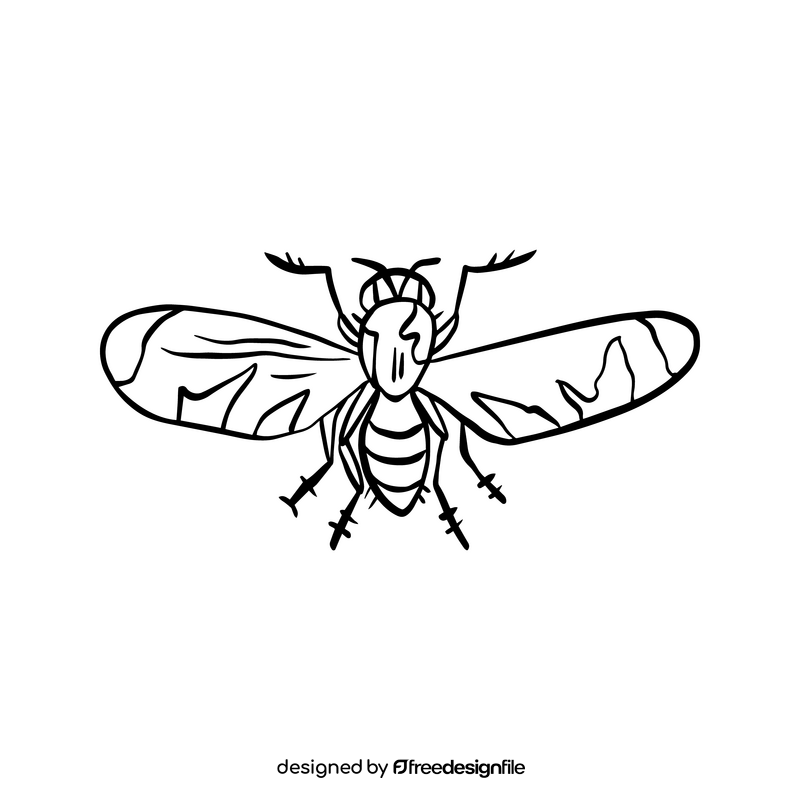 Free fly insect black and white clipart