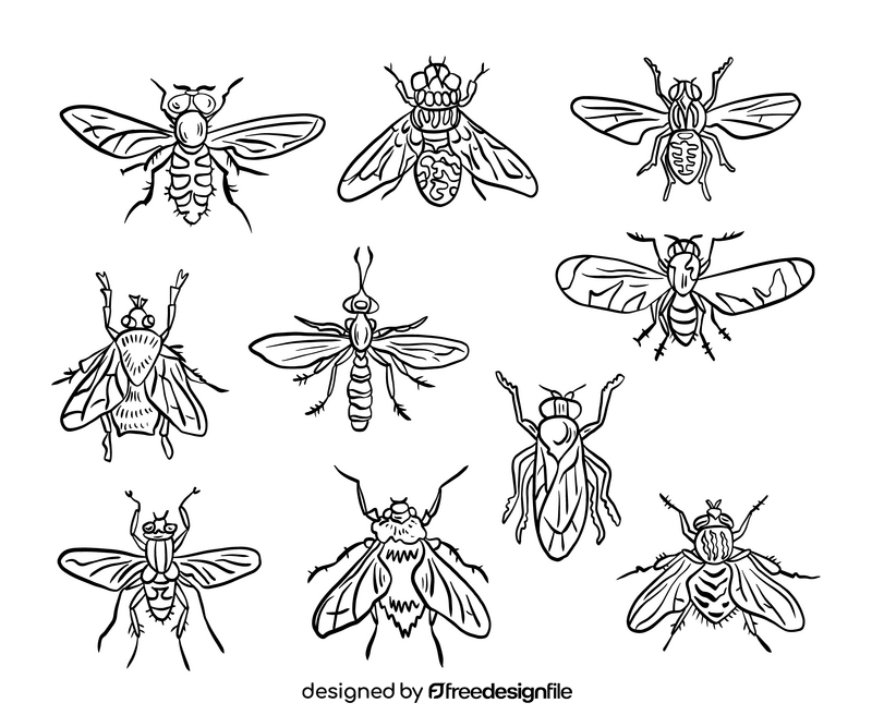 Insects black and white vector
