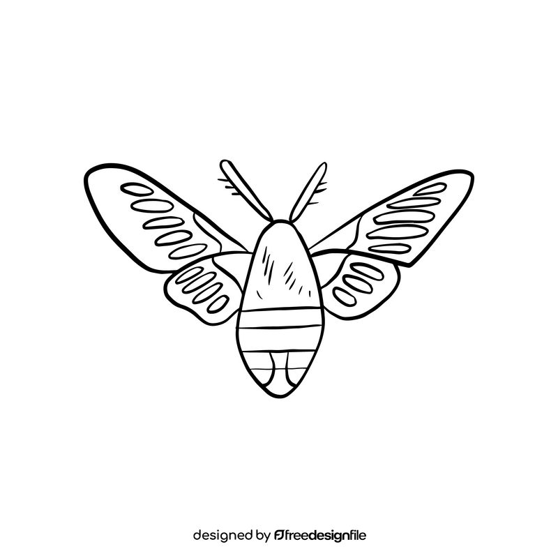 Moth black and white clipart