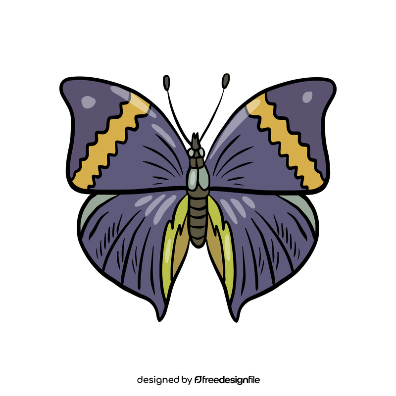 Moth insect clipart