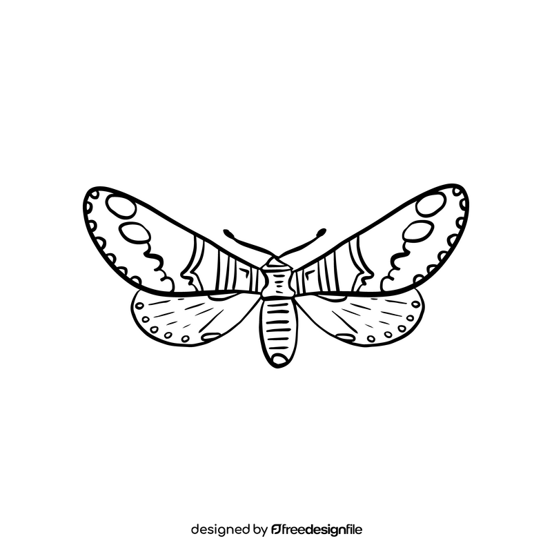 Moth drawing black and white clipart