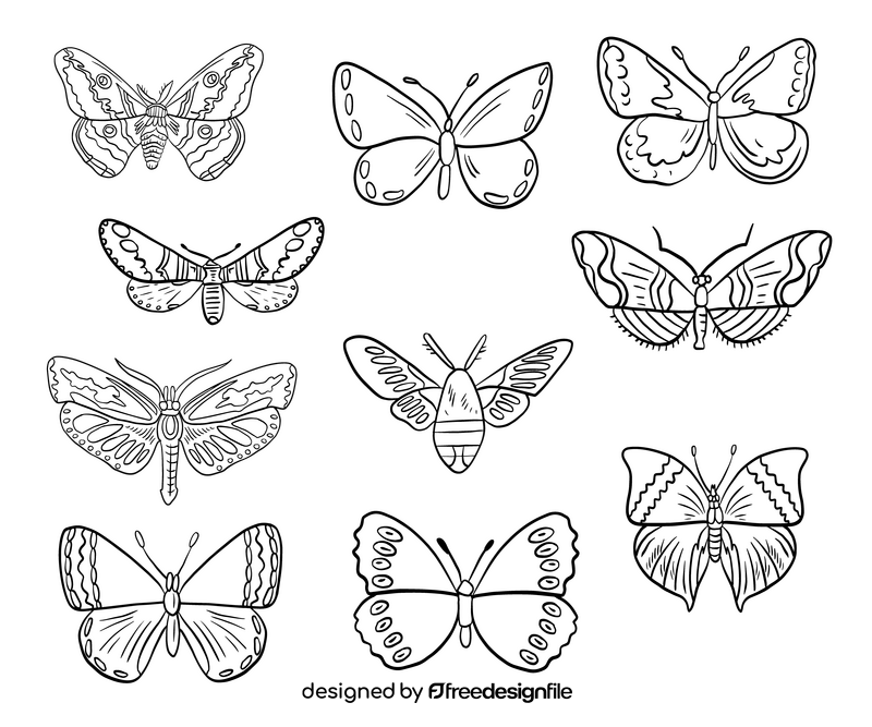 Moth insect black and white vector