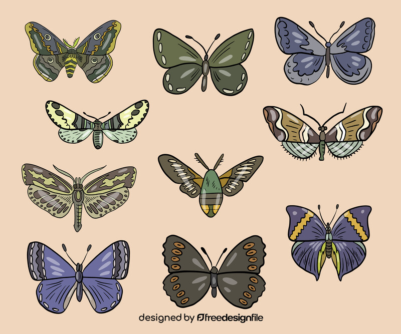 Moth insect vector