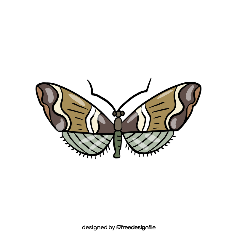 Moth illustration clipart