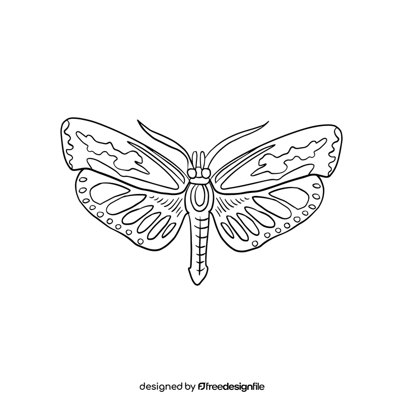 Free moth insect black and white clipart