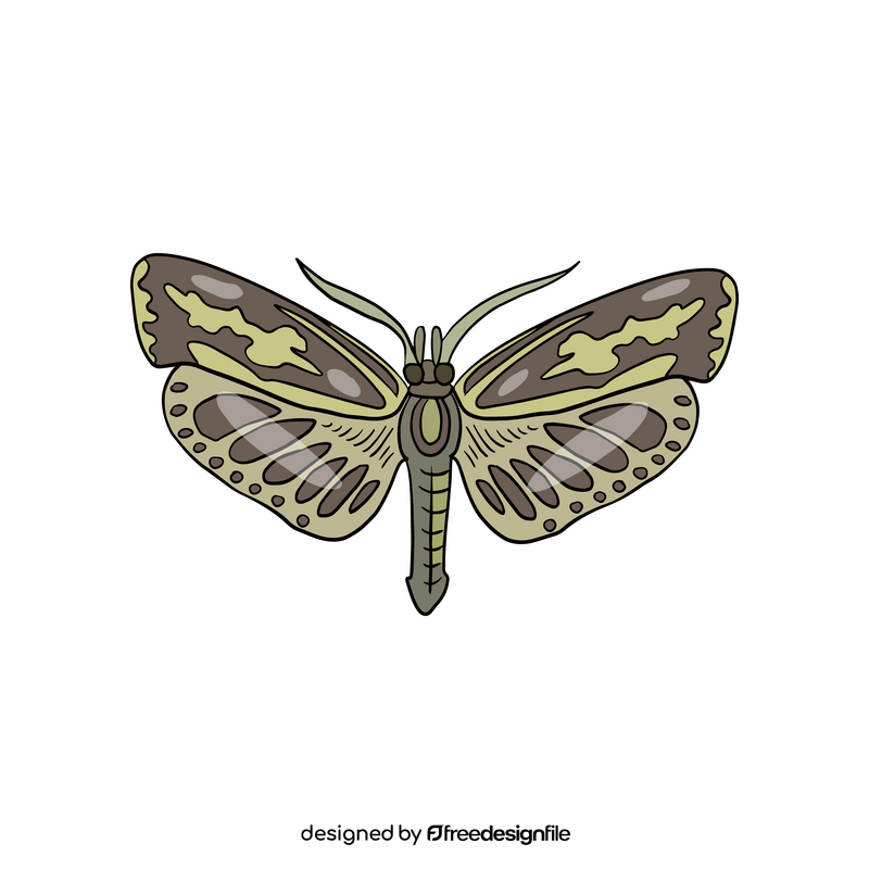 Free moth insect clipart