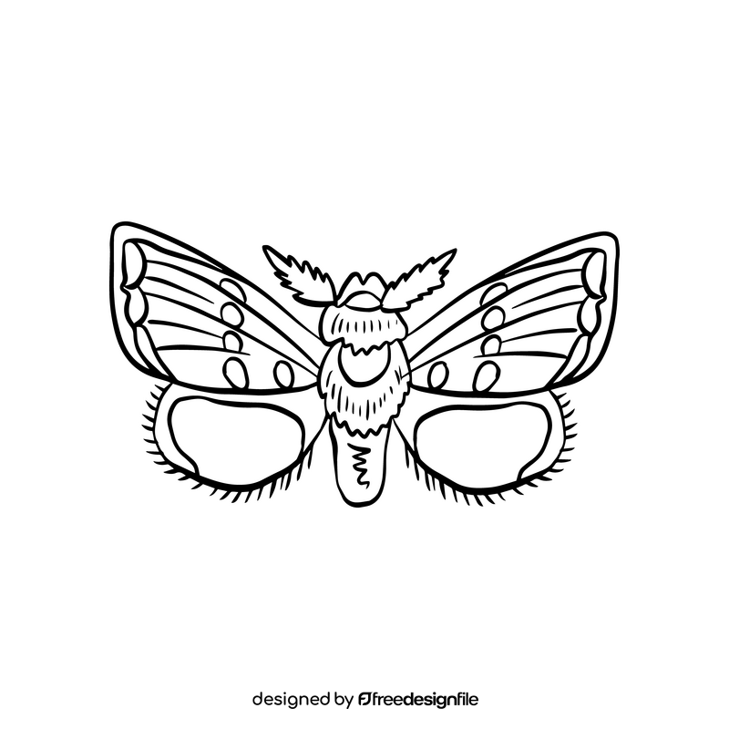 Cossina butterfly illustration black and white clipart