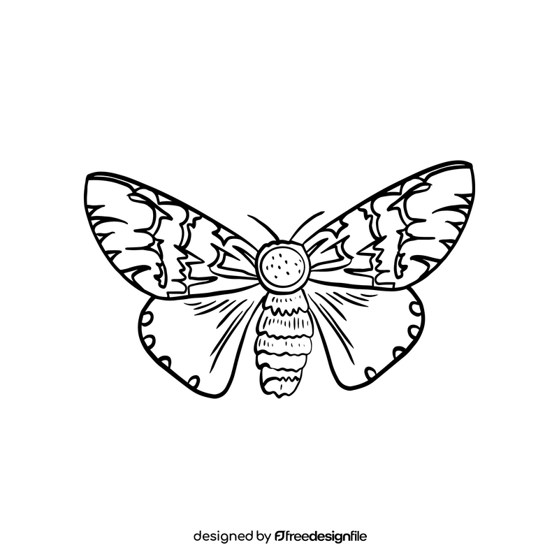 Cossina illustration black and white clipart