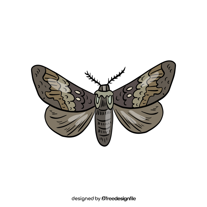 Cossina drawing clipart