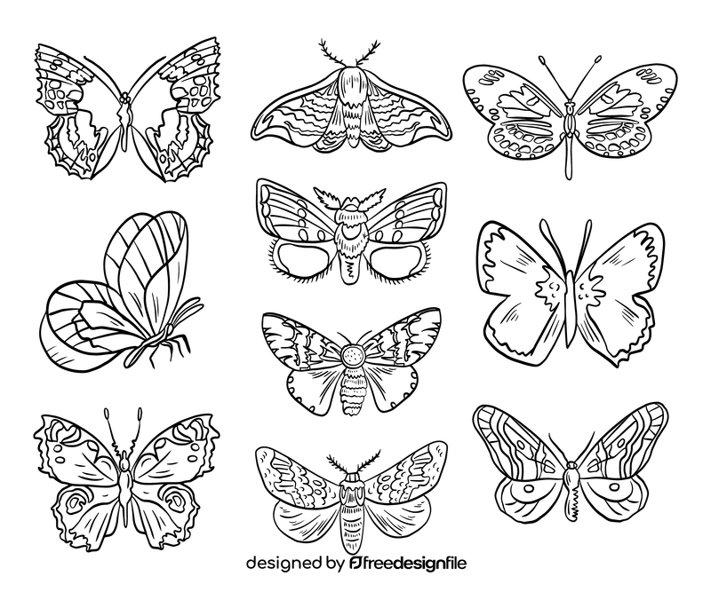 Cossina insects black and white vector