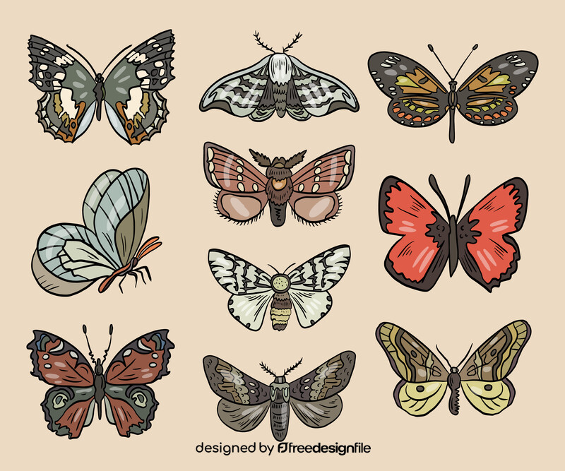 Cossina insects vector