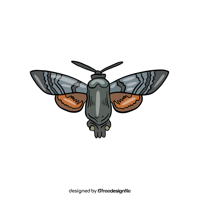 Cossina insect clipart