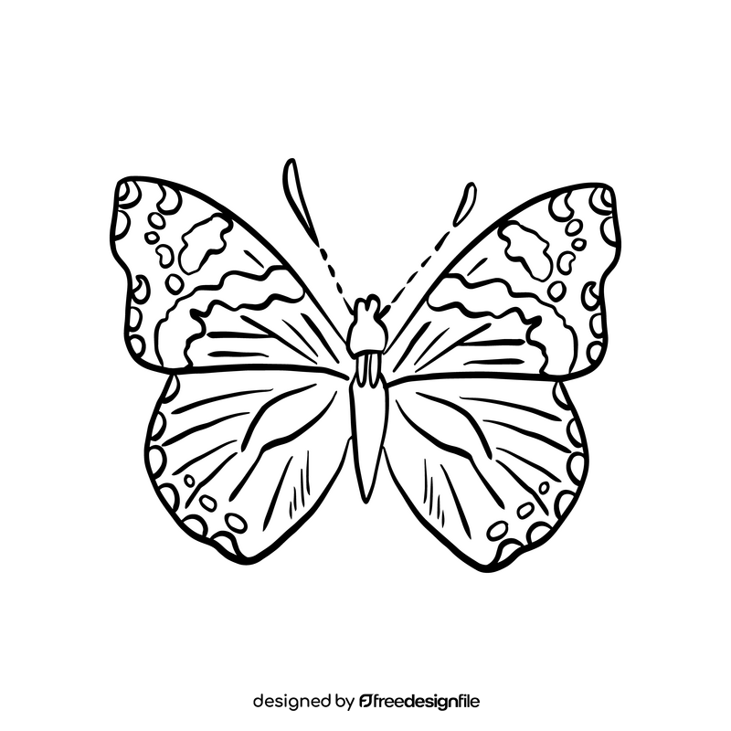Free cossina butterfly black and white clipart