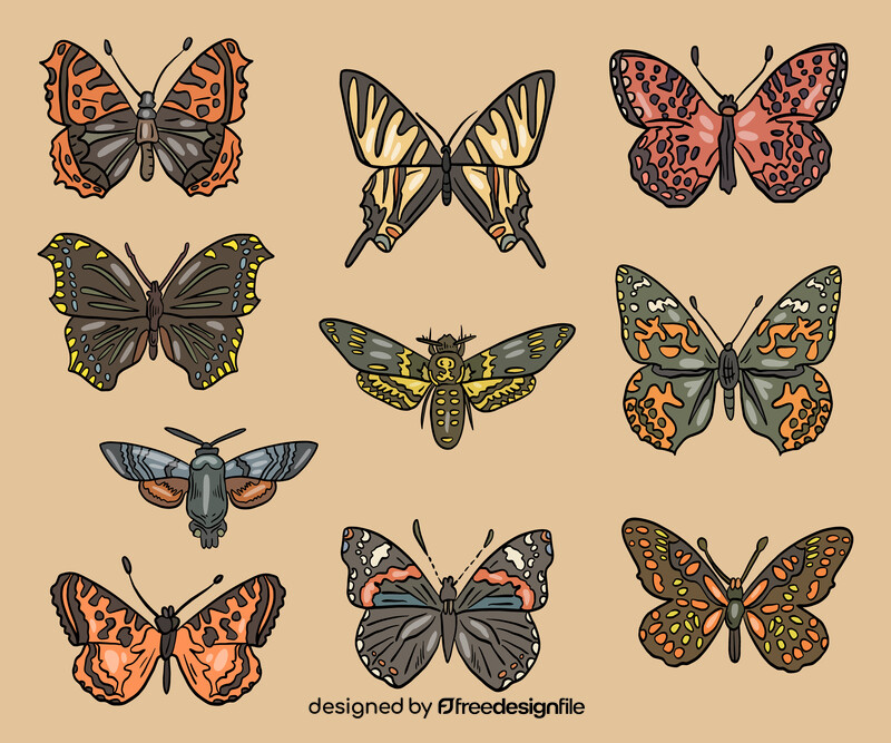 Cossina butterflies vector