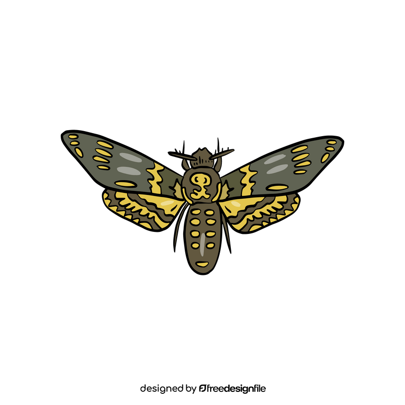 Cossina insect illustration clipart
