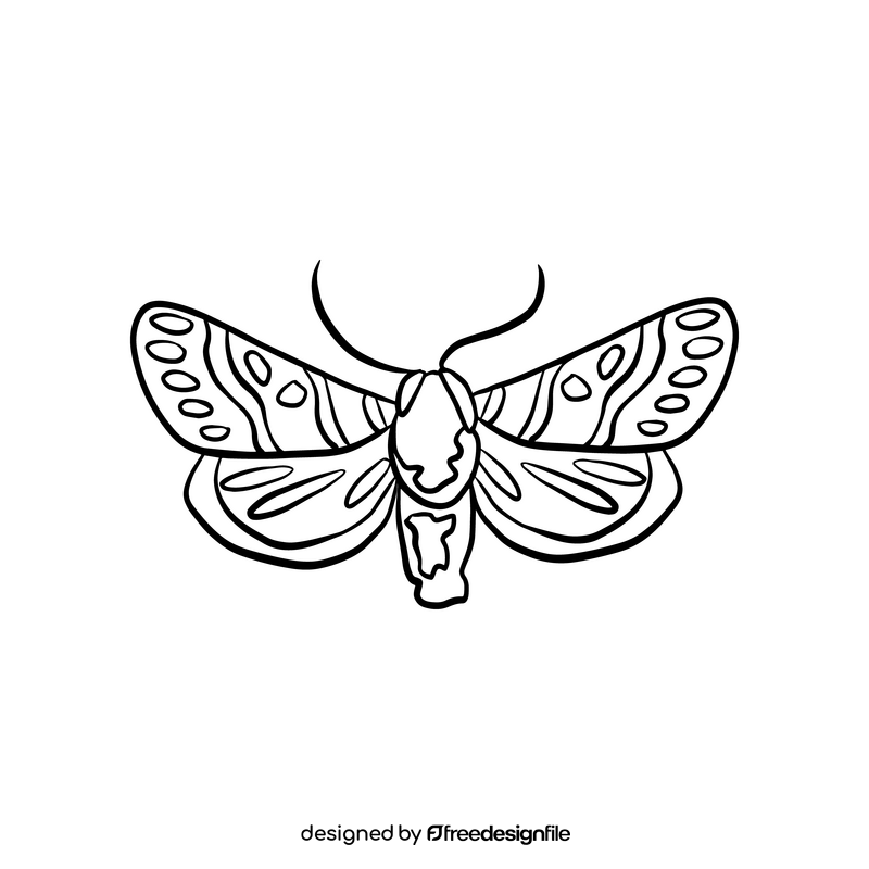 Butterfly insect black and white clipart