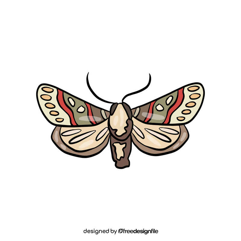Butterfly insect clipart