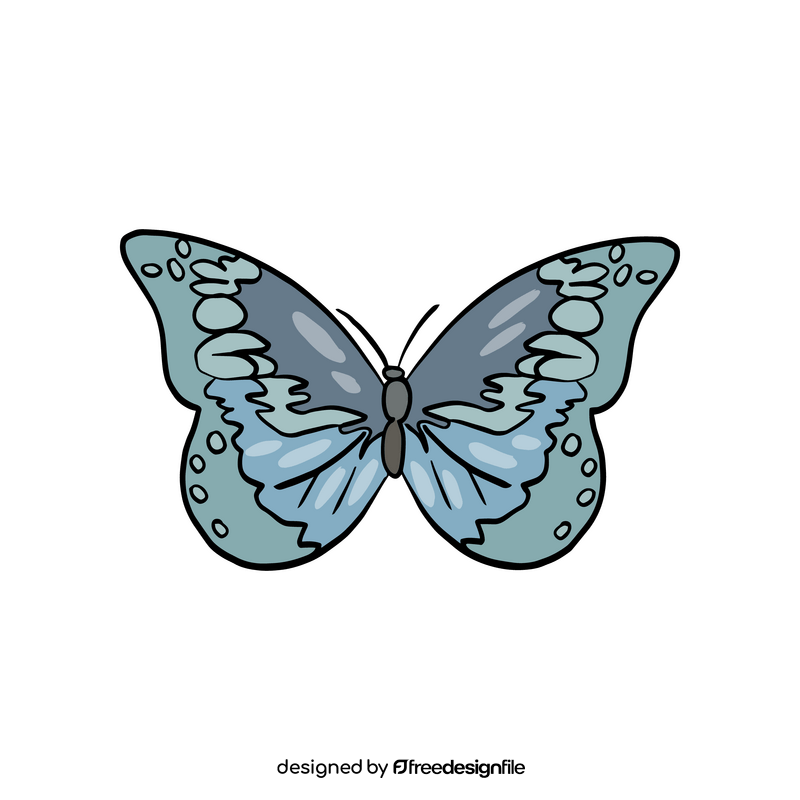 Blue butterfly insect drawing clipart