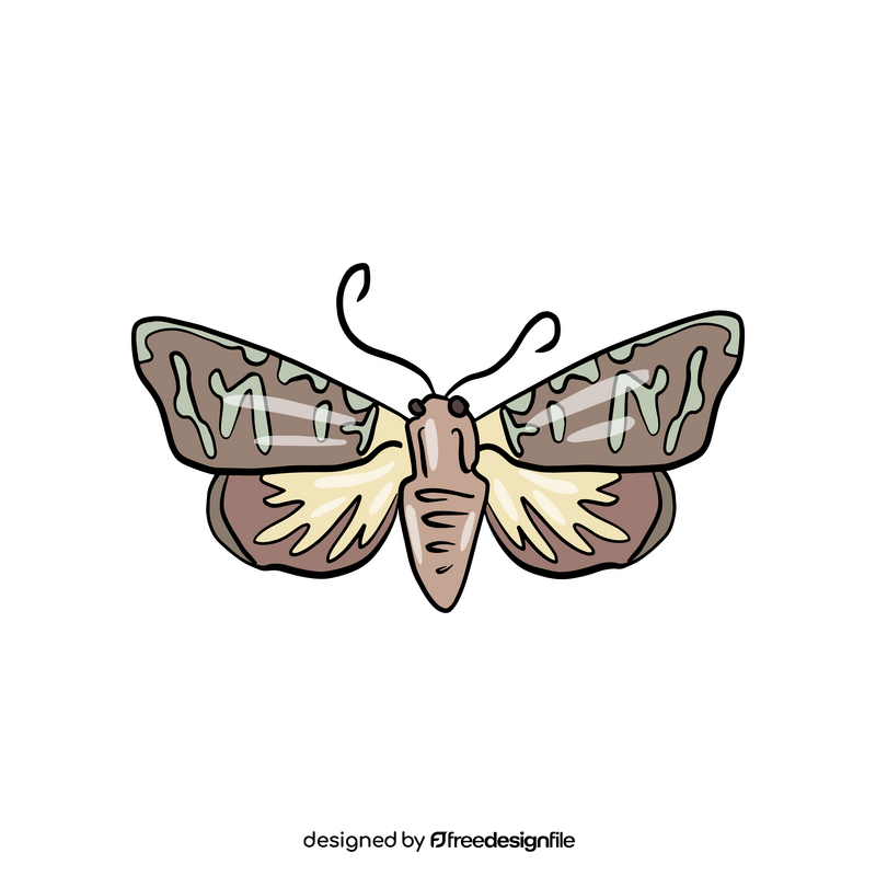Cartoon butterfly clipart